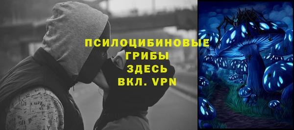 бошки Балахна