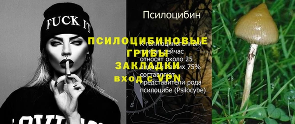 бошки Балахна