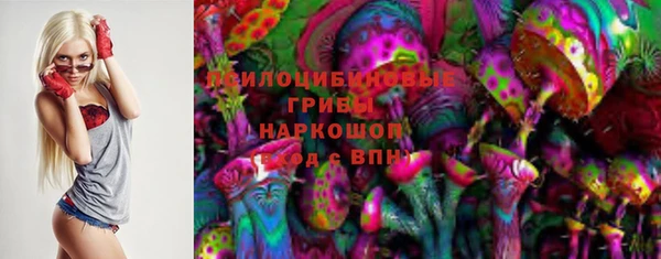 бошки Балахна